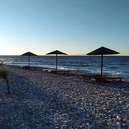 Despoina Seaside Apartment Ágios Konstantínos Exterior foto